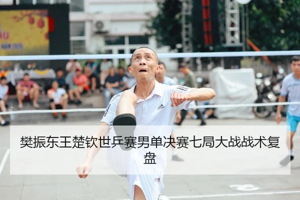 樊振东王楚钦世乒赛男单决赛七局大战战术复盘