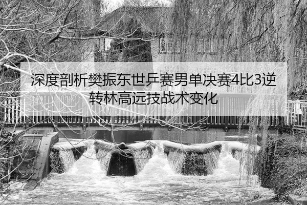 shen-du-pou-xi-fan-zhen-dong-shi-ping-sai-nan-dan-jue-sai-bi-ni-zhuan-lin-gao-yuan-ji-zhan-shu-bian-hua-3-334.jpg